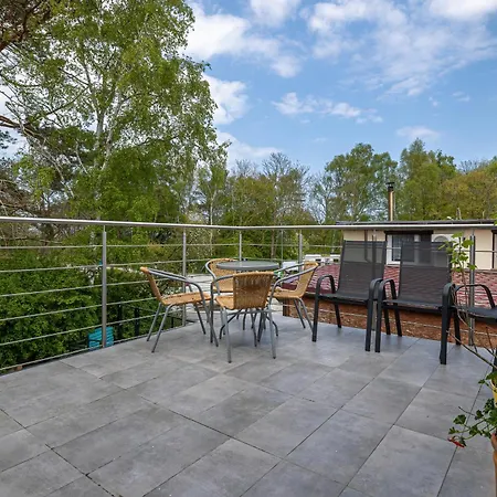 Len - I - Przy Plazy - Dla Psow