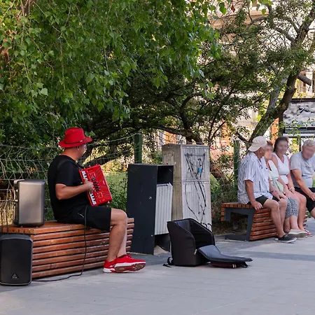 Len - I - Przy Plazy - Dla Psow