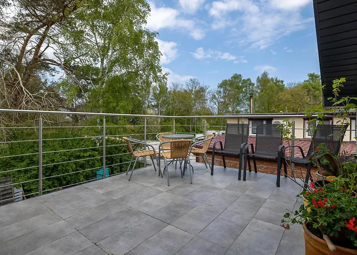 Leń - I - Przy Plaży - Dla Psów